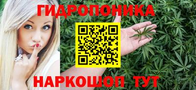 дмт Гусев