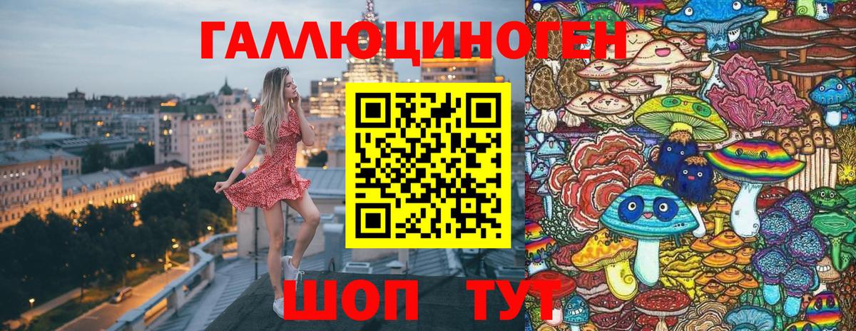 Псилоцибиновые грибы Psilocybine cubensis Обнинск
