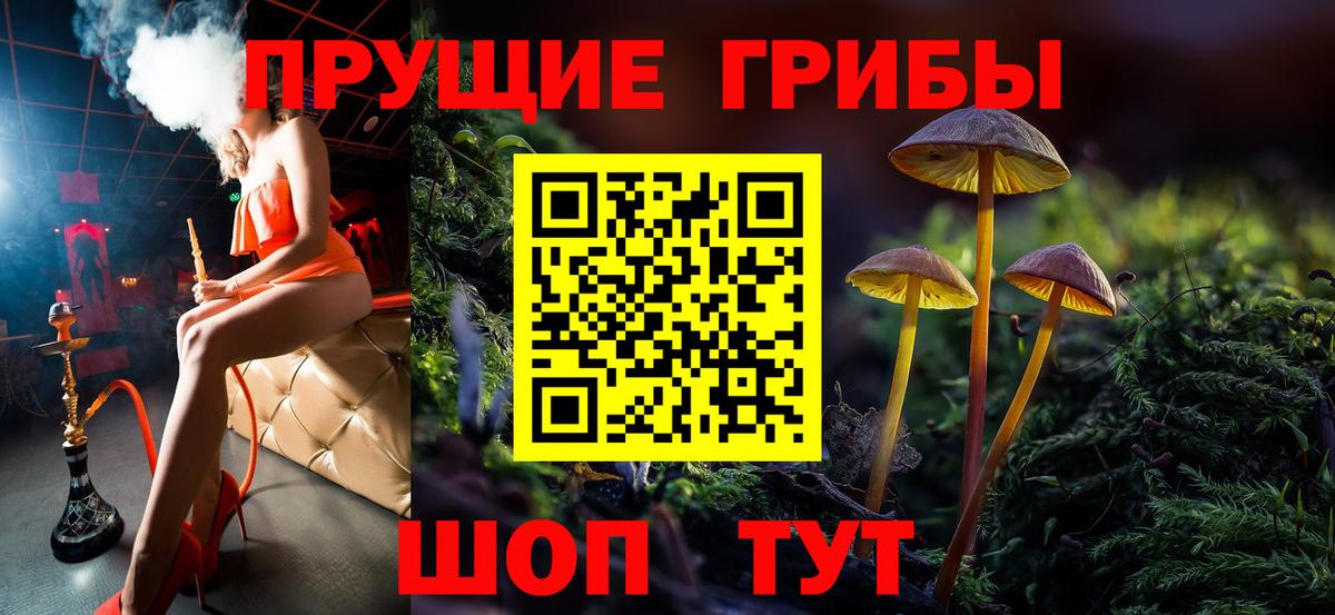 Обнинск  Псилоцибиновые грибы MAGIC MUSHROOMS  цены   Вход с VPN 