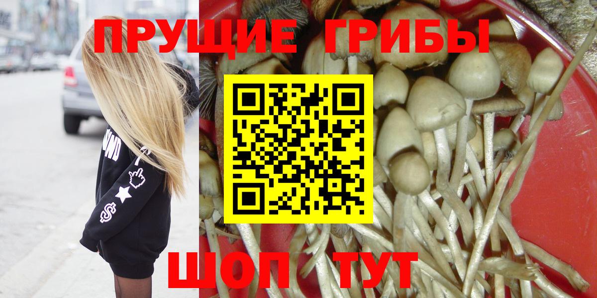 Галлюциногенные грибы Psilocybine cubensis  Обнинск 